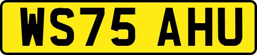 WS75AHU