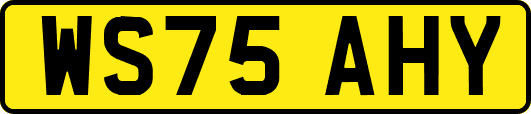 WS75AHY