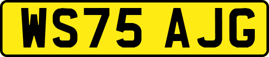 WS75AJG