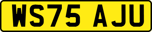 WS75AJU