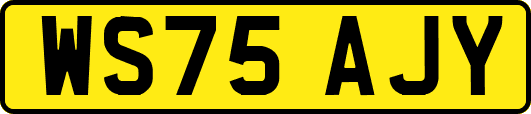 WS75AJY
