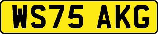 WS75AKG