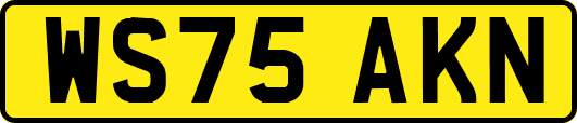 WS75AKN