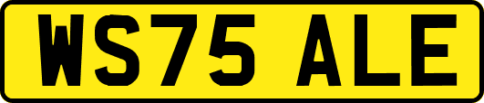 WS75ALE