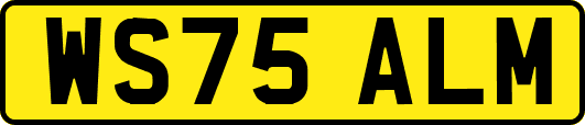 WS75ALM