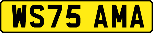 WS75AMA