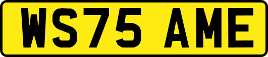 WS75AME