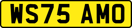 WS75AMO