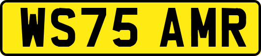WS75AMR