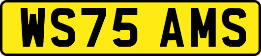 WS75AMS