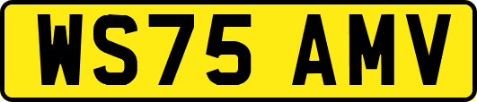 WS75AMV