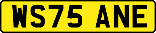 WS75ANE