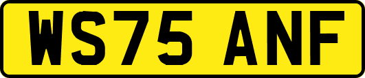 WS75ANF