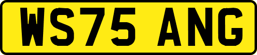 WS75ANG