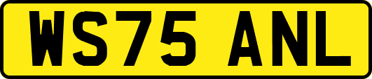 WS75ANL
