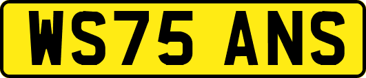 WS75ANS