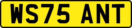 WS75ANT