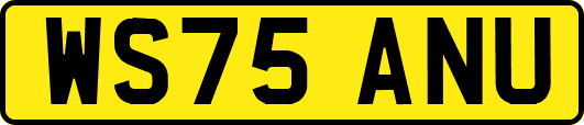 WS75ANU