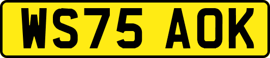 WS75AOK
