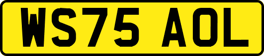 WS75AOL