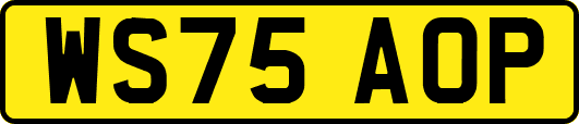 WS75AOP