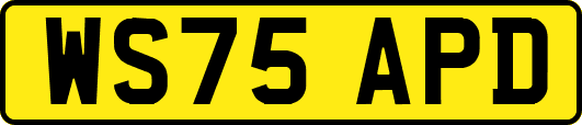 WS75APD