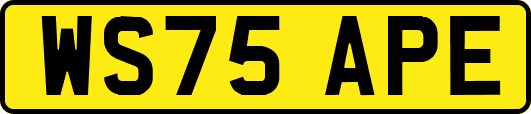 WS75APE
