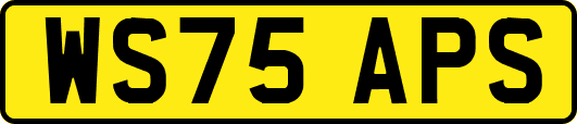 WS75APS