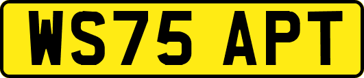 WS75APT