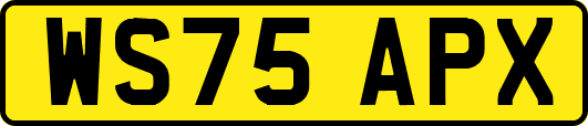 WS75APX