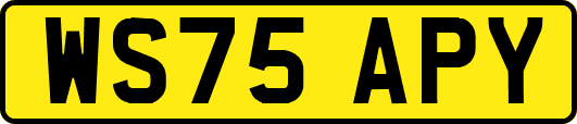 WS75APY