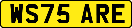 WS75ARE