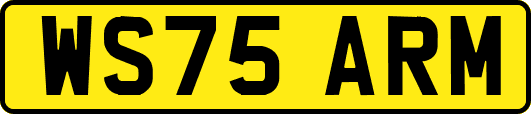 WS75ARM