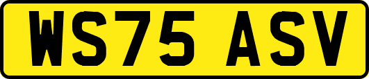 WS75ASV