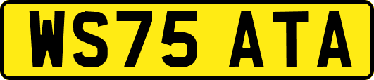 WS75ATA
