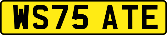 WS75ATE