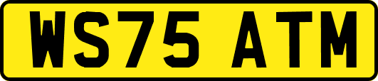 WS75ATM