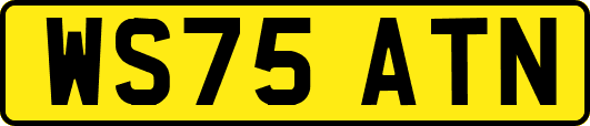 WS75ATN