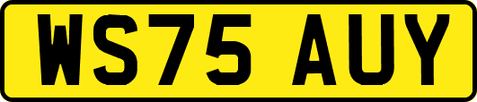 WS75AUY