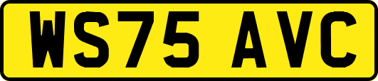 WS75AVC