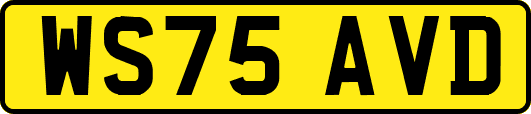 WS75AVD