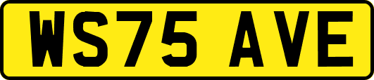 WS75AVE