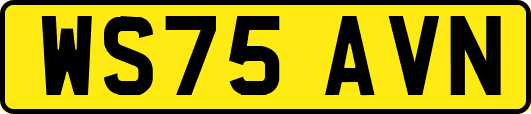 WS75AVN