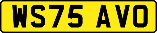 WS75AVO