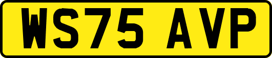 WS75AVP