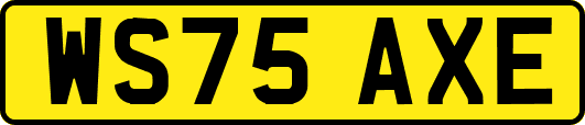WS75AXE