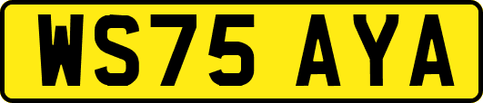 WS75AYA