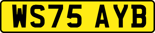 WS75AYB