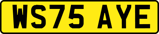 WS75AYE