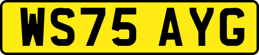 WS75AYG
